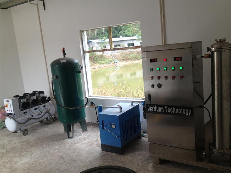 魚類養殖消毒供氧多功能臭氧發生器